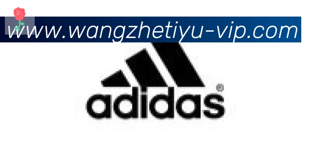 王者体育直播合作伙伴